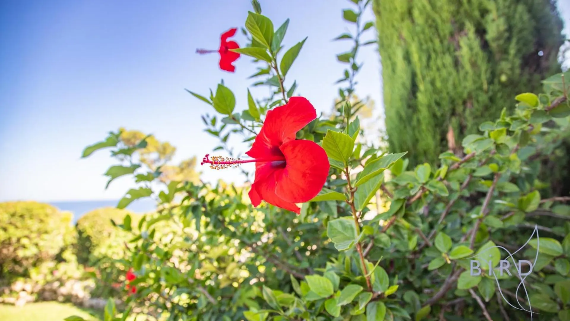 Sumptuous Villa With Sea View And Its Renovated Outbuilding In The Heart Of Théoule-sur-Mer